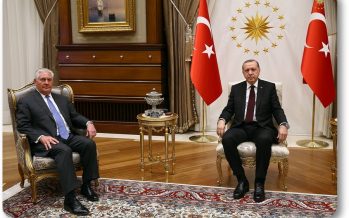 Cumhurbaşkanı Erdoğan, ABD Dışişleri Bakanı Tillerson’u Kabul Etti