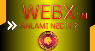 WEBX’ in Anlamı nedir ?